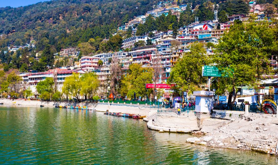 Naugai Tour & Travels